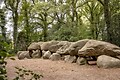 Buitenplaats De Marke van Ruinen - Omgevingsafbeelding - 14