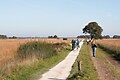 Buitenplaats De Marke van Ruinen - Omgevingsafbeelding - 16