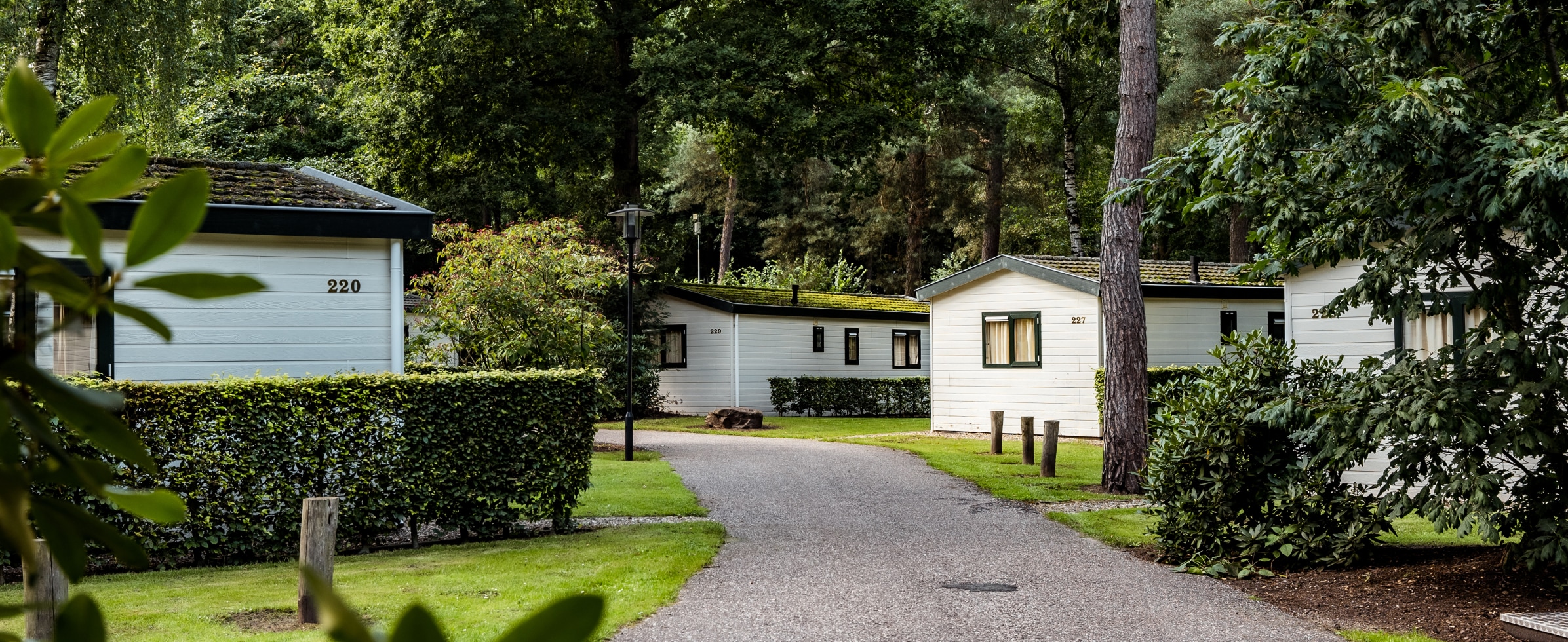 Parkplattegrond Bospark De Schaapskooi Roompot