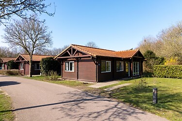 Loghome 6