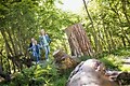 Vakantiepark De Berkenhorst - Parkafbeelding - 12
