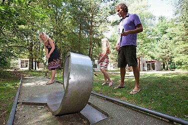 Vakantiepark De Berkenhorst - Parkafbeelding - 3