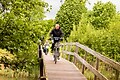 Vakantiepark Emslandermeer - Parkafbeelding - 6