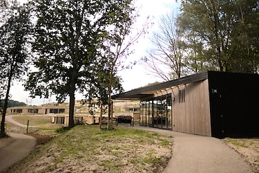 Timber Lodge 4