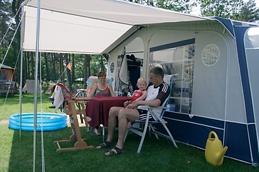 Veld Specht