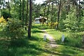 Bungalowpark Herperduin - Parkafbeelding - 11