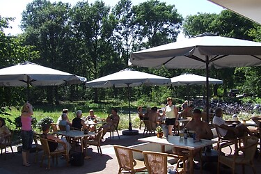Bungalowpark Herperduin - Parkafbeelding - 2