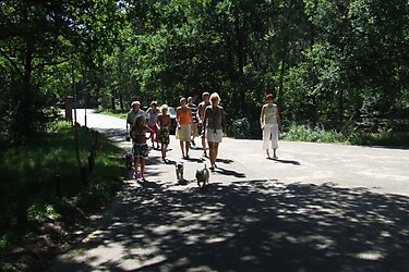 Bungalowpark Herperduin - Parkafbeelding - 4