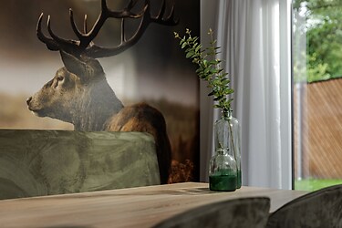 Vakantiepark Schaijk - Lodge - Foto4