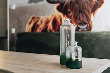 Vakantiepark Schaijk - Villa - Foto4