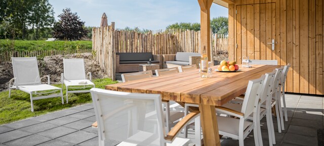 Villa Jeugdvilla V10 Luxe Beach Resort Nieuwvliet Bad Roompot