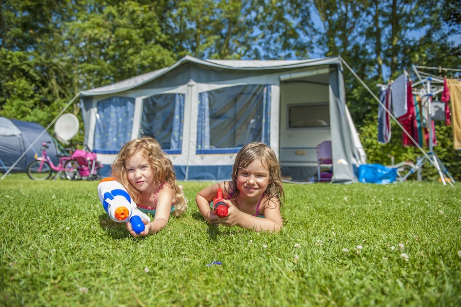 Comfort Plus veld C – afbeelding 2