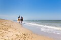 Vakantiepark Aquadelta - Omgevingsafbeelding - 23