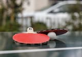 Table Tennis Table Tennis