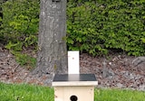 Vogelhuisje timmeren Vogelhuisje timmeren