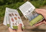 Natuurwaaier