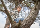 Build your Treehouse Build your Treehouse