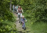 Entdecken Sie die Umgebung mit dem Fahrrad