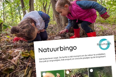 Natur-Bingo 