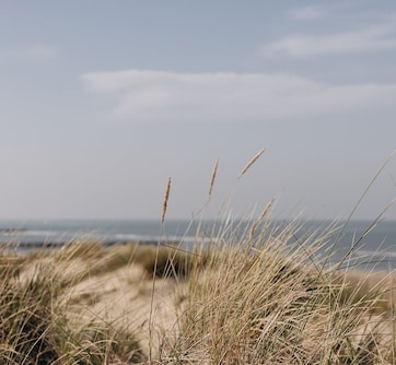 Bloemendaal aan Zee