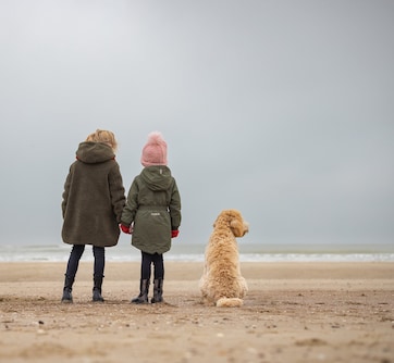 Strand Westenschouwen