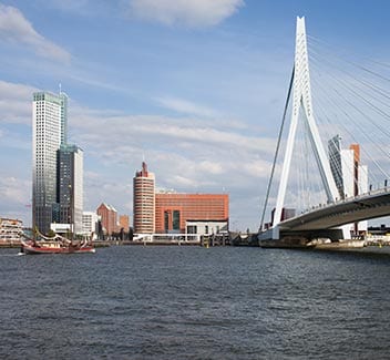 Rotterdam is Buzzing!