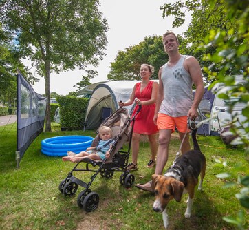 Eropuit in de vroegzomer